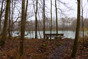 "Mein Platz am See". Die Blätter sind gefallen und machen den Blick frei für versteckte Plätzchen - wie hier an einem Baggersee im Mindeltal.
