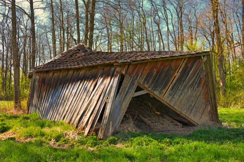 ... schon fast ein Kunstwerk! Entdeckt im Balzhauser 'Paradies'.