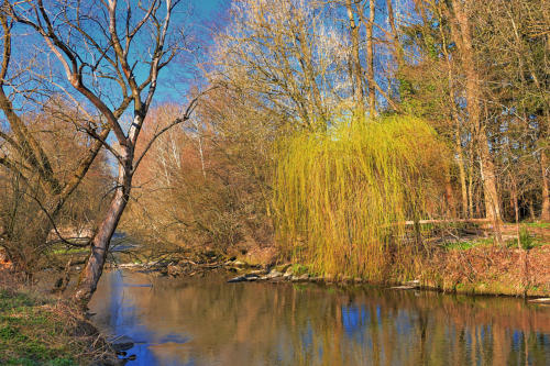 Frisches Grün neben Abgestorbenem - die Mindel südlich von Thannhausen.