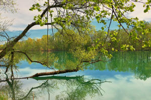 Frühlingsfarben und Morgensonne - ein Weiher bei Mindelzell.