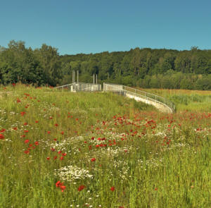 Der Hochwasserschutz Balzhausen-Bayersried, voriges Jahr noch eine riesige Baustelle, ist heute eine blühende Landschaft