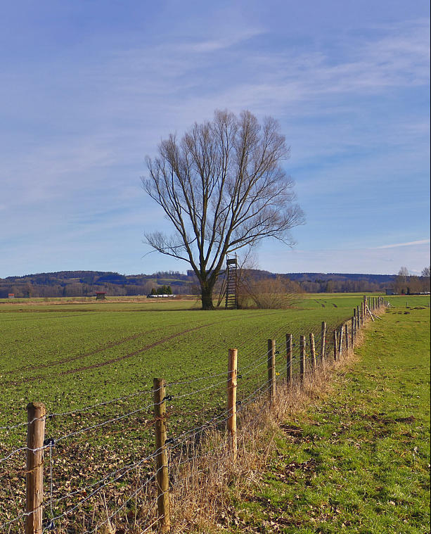 "Frühlingseinbruch" am 4. Februar 2021 im Mindeltal