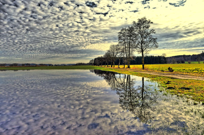 Nach der Schneeschmelze stehen einige Wiesen im Mindeltal zwischen Thannhausen und Oberrohr unter Wasser - zur Freude des Fotografen.