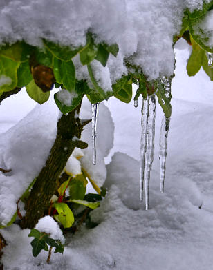 Der Winter ist zurück - Eiszapfen vor der Haustüre.