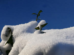 Der Winter ist zurück  - bei minus 9 Grad.