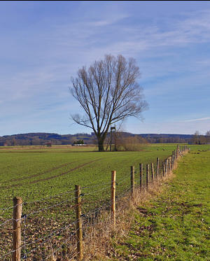 "Frühlingseinbruch" am 4. Februar 2021 im Mindeltal