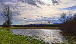 Ein Wolkenmix am Himmel -  ein eisiger Wind fegt durch das Mindeltal - am 8. Februar 2021.