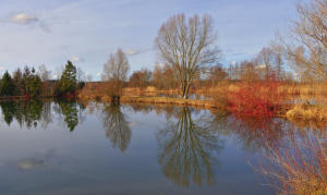 4. Februar 2021  "Vom Eise befreit ..." - sind die Weiher im Mindeltal