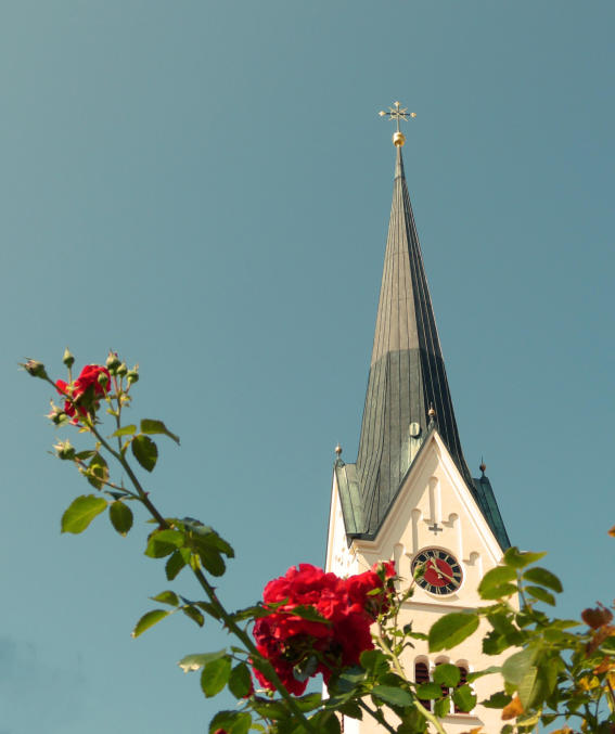 "Durch die Blume gesehen" - Blick durch einen Rosenstrauch auf den Thannhauser Kirchturm.