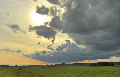 Blick vom 'Balzhauser Paradies' in den Himmel.