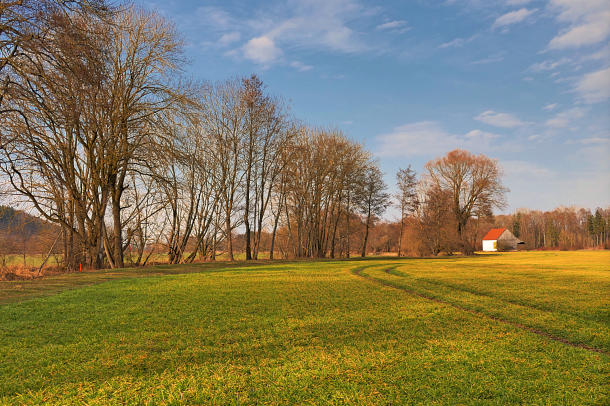 Frühlingsanfang an der Kleinen Mindel bei Mindelzell.