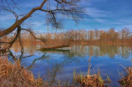 Ein Weiher im Mindeltal - zärtliche Frühlingsfarben.