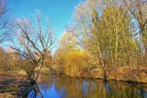 Frühlingserwachen an der Mindel