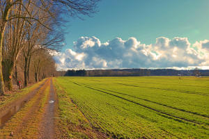 Der Mindeltalradweg südlich von Thannhausen - klare Sicht nach einem Regenguss.