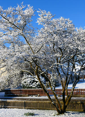 Frühlingsanfang 20.3.2021