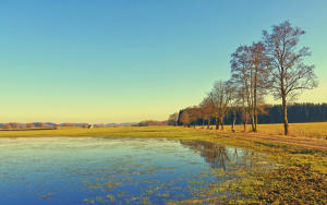 Nach der Schneeschmelze überschwemmte Wiese im Mindeltal - im Licht des späten Nachmittags.