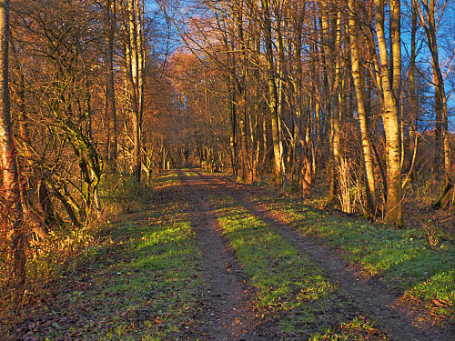 Der Mindeltalradweg am späten Nachmittag (12.12.19.)