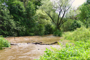 Ein beliebter Rastplatz an der Mindel bei Hochwasser.