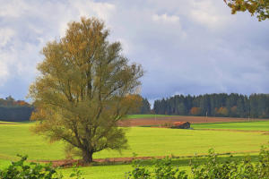 Schönes Mittelschwaben - Blick ins Haseltal zwischen Attenhausen und Marbach/Edelstetten.