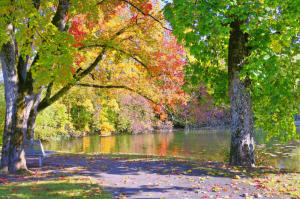 Berauschende Farben - am Kieninger Weiher in Thannhausen.