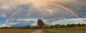 6.Oktober 2021 Regenbogen über der Bayersrieder Strasse südlich von Thannhausen.