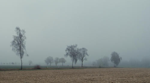 Nebel ...