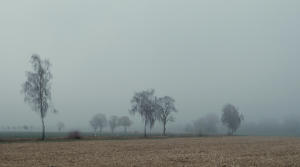 Nebel ...