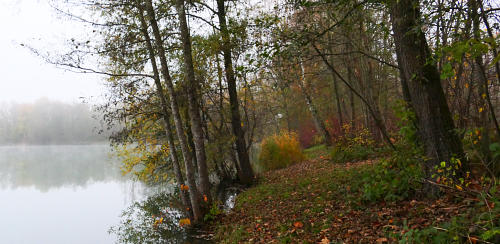 Ein Novembertag - "Am Ufer"