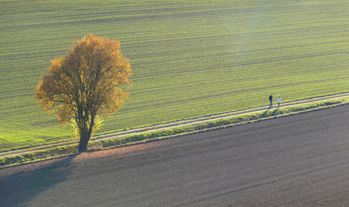 Herbstspaziergang in den Burger Fluren