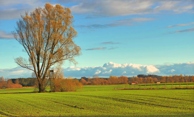 Mittelschwäbische Landschaft