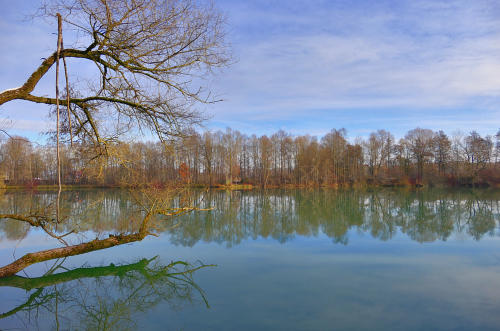 "Dezemberfarben" im Mindeltal