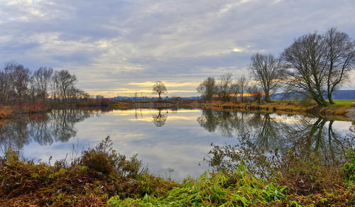 Frühlingshafter Dezember 2020 - ein Weiher bei Mindelzell