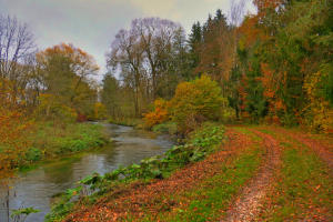 Die Mindel - auch im Herbst fotogen.