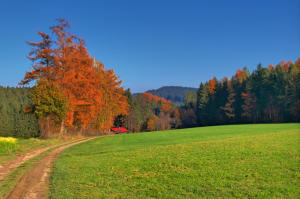 Idyll im Zusamtal