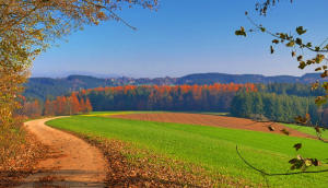 Blick von den Burger Fluren ins Zusamtal