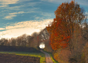 Anblick mit Durchblick - erblickt westlich von Oberrohr