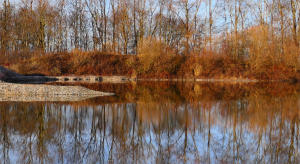 "Dezemberfarben" im Mindeltal