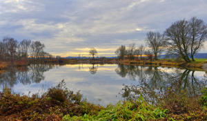 Frühlingshafter Dezember 2020 - ein Weiher bei Mindelzell