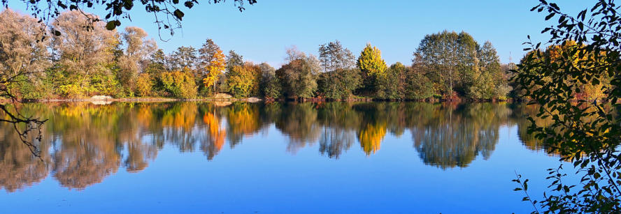 Typisch Herbst - ein Fischweiher im Mindeltal