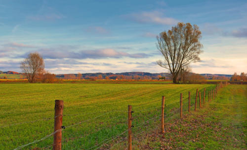 Nach langem Ringen mit dem Nebel setzt sich endlich die Sonne durch - hier ein Blick ins Mindeltal südlich von Balzhausen.