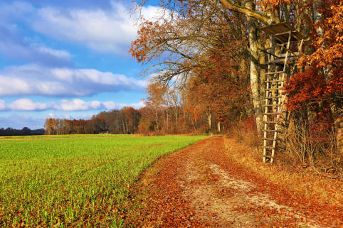 November 2021: Ab und zu lässt sich doch die Sonne blicken - im Mindeltal südlich von Balzhausen.