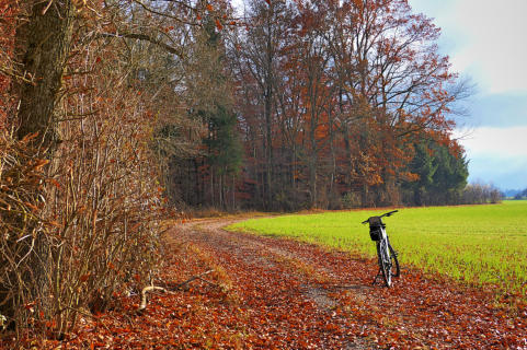 November 2021: Ab und zu lässt sich doch die Sonne blicken - im Mindeltal südlich von Balzhausen.