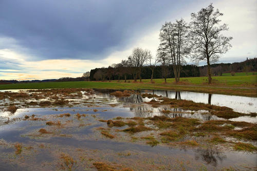 Weihnachten 2021 -  außer 'Corona' und Regen nicht viel gewesen - das Mindelried zwischen Thannhausen und Oberrohr.