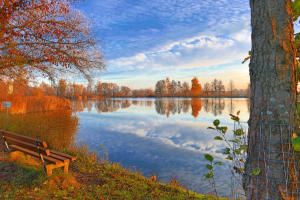 Ein Platz in der Novembersonne - ein Weiher bei Nettershausen