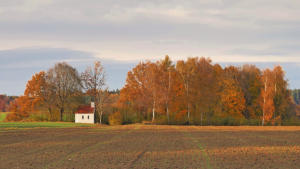 Die 'Vierzehn Nothelfer Kapelle' westlich von Oberrohr in herbstlicher Umgebung.