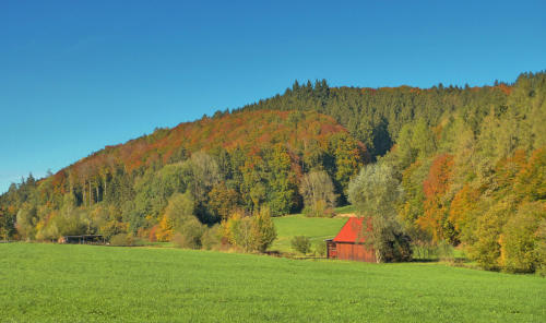 Am Lauterbach, zwischen den Ziemetshauser Ortsteilen Bauhofen und Lauterbach.
