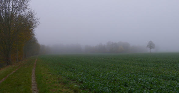 Nebel ziehen auf - am Mindeltalradweg